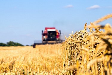 Сергей Грачев поздравил аграриев Оренбуржья с профессиональным праздником 